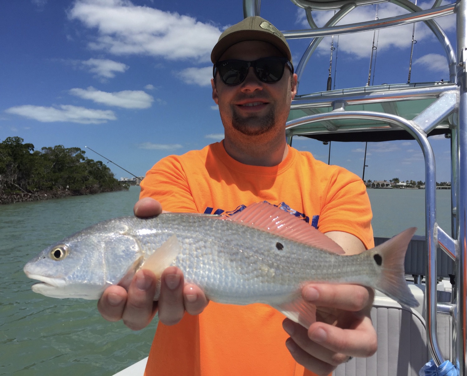 Types of fish in 10,000 Islands